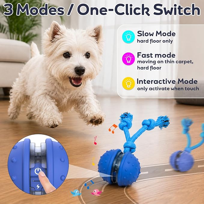 Interactive Automatic Moving Dog Ball with Rope – Rechargeable Motion-Activated Toy for Dogs & Puppies