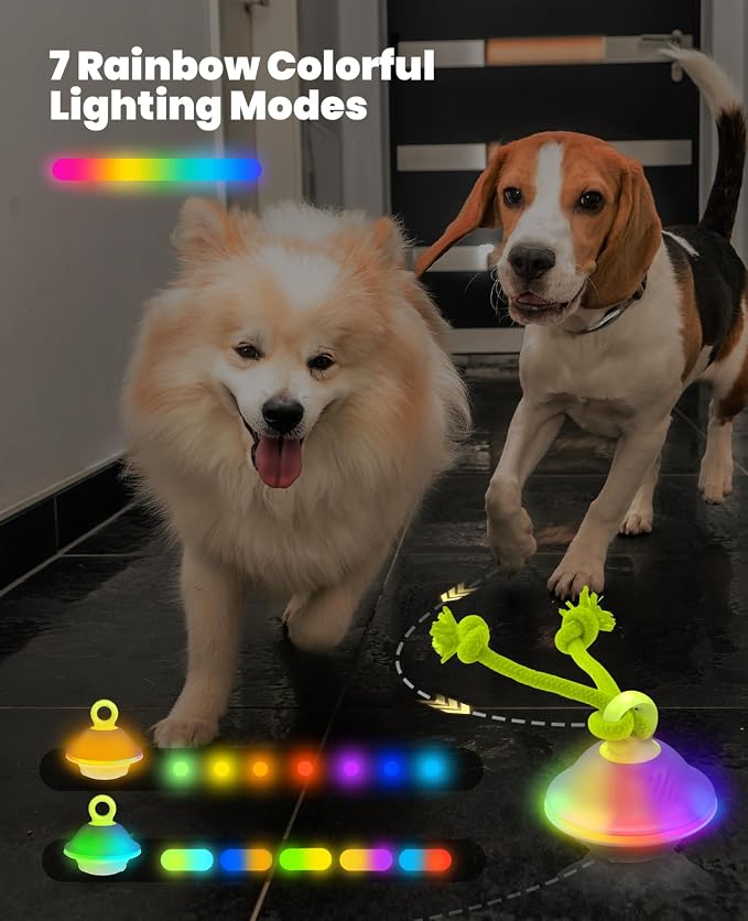 Smart Interactive Automatic Dog Ball with Rope – Motion-Activated Rolling & Squeaky Toy with RGB Lights, Sound & Voice Recording