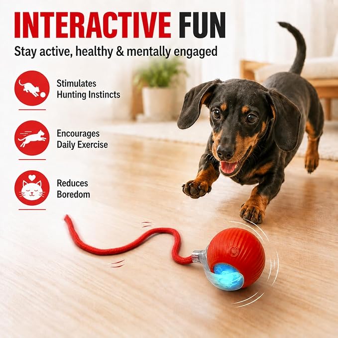 Interactive Automatic Rolling Electronic Chase Ball for Cats & Dogs – Rechargeable Motion-Activated Pet Toy